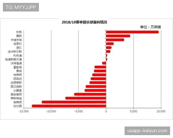背景调查：私募资本收购英超俱乐部股份的趋势与潜在风险